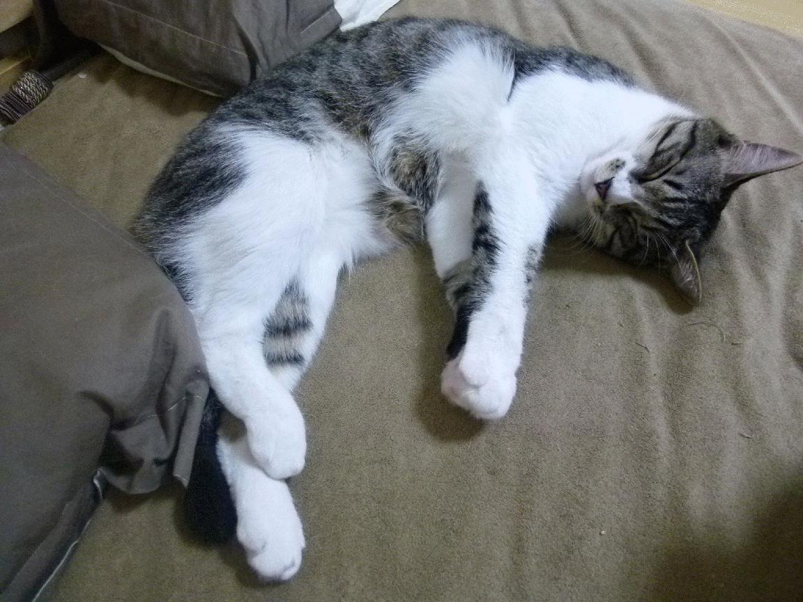 当现代篮球的终极答案，遇上钢铁洪流的最后骄傲